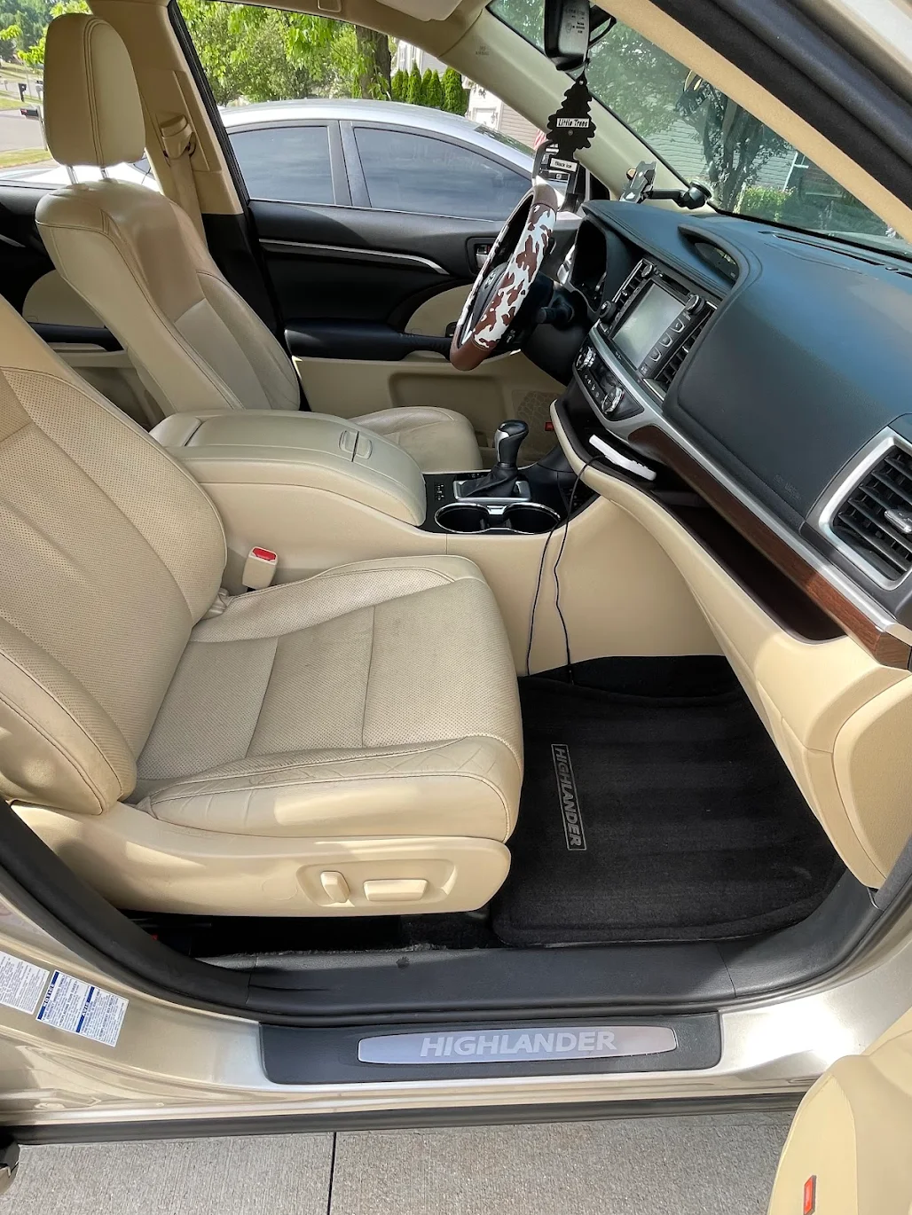 Professional car detailing